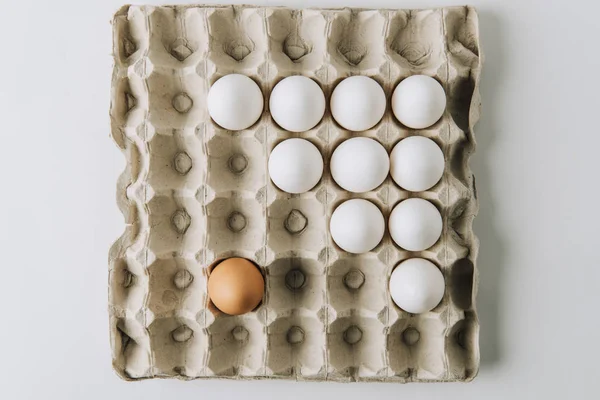 Белое и одно коричневое яйцо, откладываемое в коробке с яйцами на белом фоне — стоковое фото