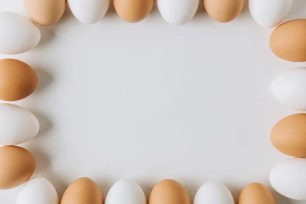 Huevos blancos y marrones que ponen sobre fondo blanco y forman cuadrados - foto de stock