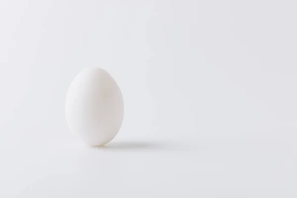 Откладывание белого яйца на белом фоне — стоковое фото