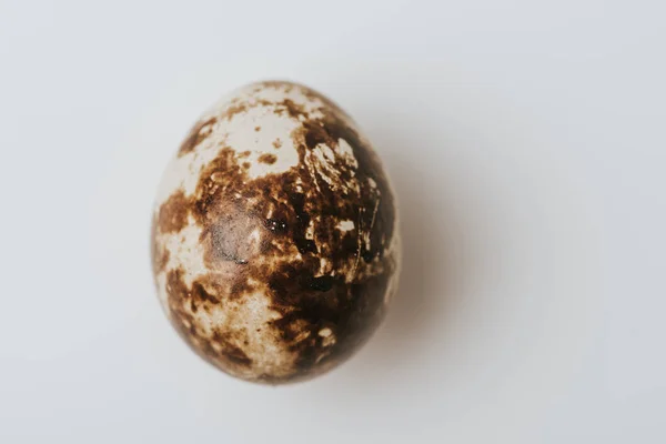 Quail egg laying on white background — Stock Photo