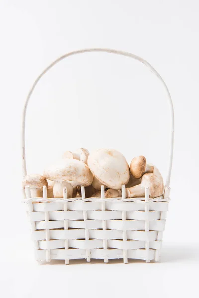 Mucchio di funghi posa in cesto di vimini su sfondo bianco — Foto stock