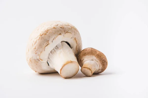 Сирі гриби, що лежать на білому тлі — стокове фото