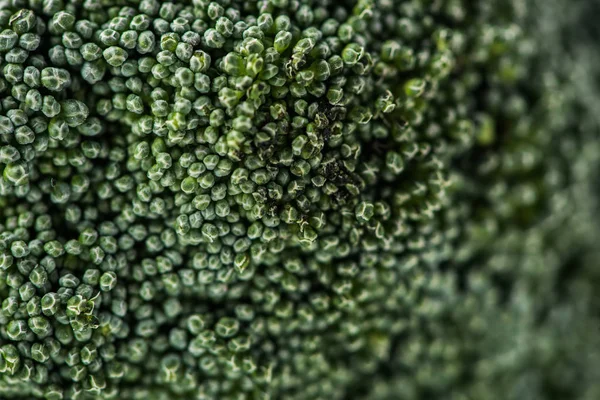 Primo piano di cimette di cavolo broccolo — Foto stock