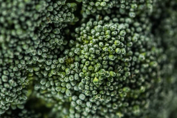 Gros plan sur les fleurs de chou brocoli — Photo de stock