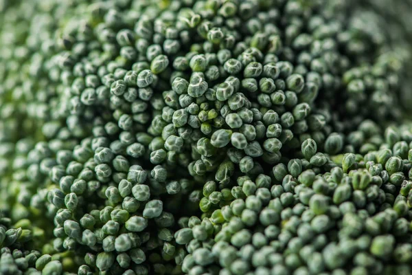 Крупный план капустных цветков брокколи — стоковое фото