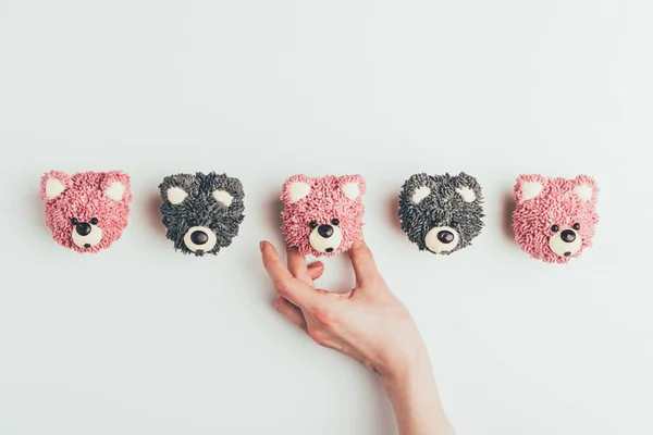 Plan recadré de main humaine et délicieux muffins en forme d'ours isolés sur gris — Photo de stock