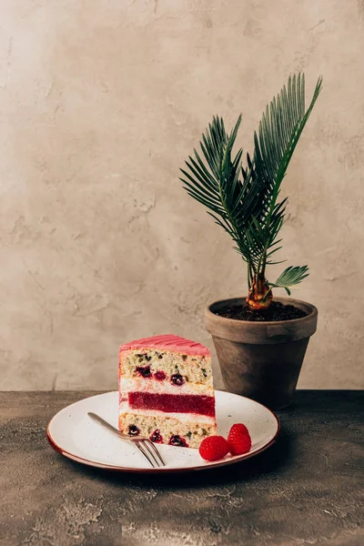 Gâteau sucré savoureux avec des framboises sur assiette et plante d'intérieur verte — Photo de stock