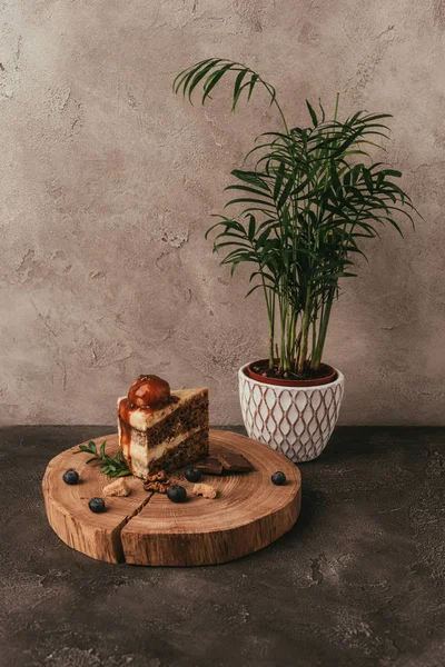 Pedazo od delicioso pastel con bayas en tablero de madera y planta de interior verde - foto de stock