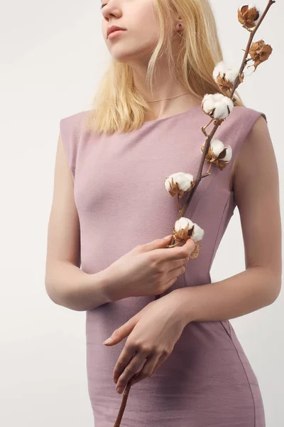 Plan recadré de jeune femme en robe rose avec branche de coton isolé sur blanc — Photo de stock