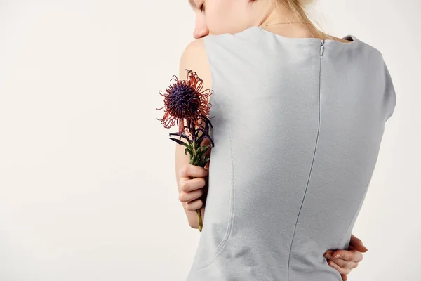 Visão traseira da jovem mulher com flor de Leucospermum isolado no branco — Fotografia de Stock