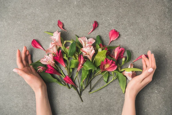Teilansicht weiblicher Hände und schöner peruanischer Lilien auf grauer Betontischplatte — Stockfoto