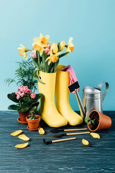 Vista de perto de botas de borracha dispostas com flores, vasos, ferramentas de jardinagem e regador em mesa de madeira em azul — Fotografia de Stock