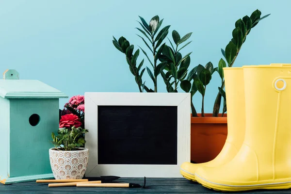 Vista de perto de plantas em vasos de flores, botas de borracha, casa de pássaros, equipamentos de jardinagem e quadro-negro vazio em mesa de madeira em azul — Fotografia de Stock