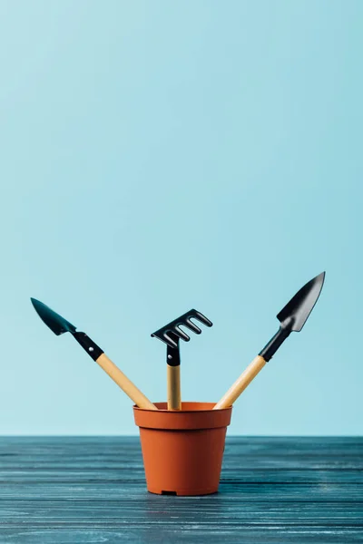 Close up view of gardening tools in flowerpot on wooden tabletop on blue — Stock Photo