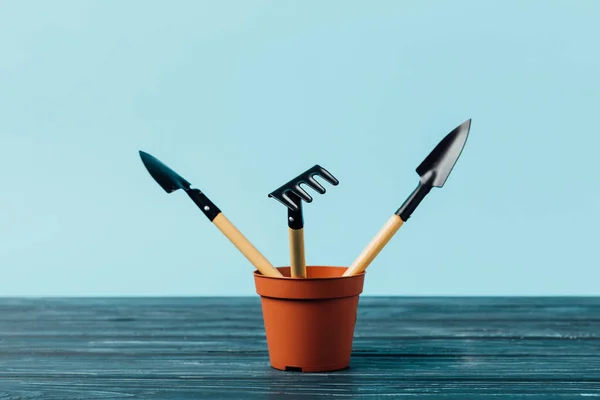 Vue rapprochée des outils de jardinage en pot de fleurs sur plateau en bois sur fond bleu — Photo de stock
