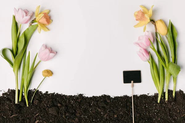 Plat posé avec des tulipes, narcisses, fleurs de chrysanthème et tableau blanc dans le sol isolé sur blanc — Photo de stock