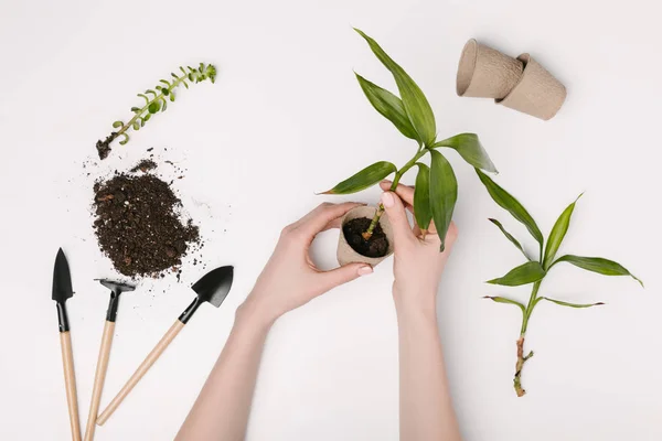 Gartenarbeit — Stockfoto