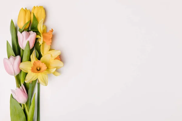 Tendido plano con hermosos tulipanes arreglados y flores narcisas aisladas en blanco - foto de stock