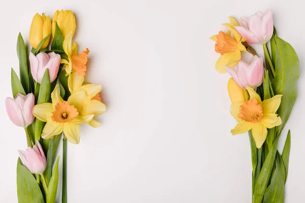 Piatto giaceva con disposti bei tulipani e fiori di narciso isolati su bianco — Foto stock