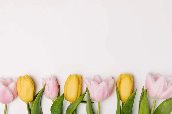 Tendido plano con tulipanes rosados y amarillos aislados en blanco - foto de stock