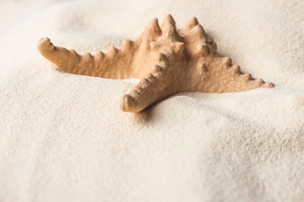 Grande estrela do mar na praia de areia de verão — Fotografia de Stock