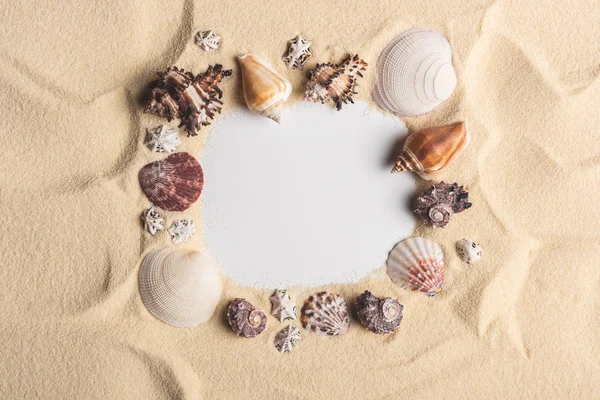 Рама из различных раковин на легком песке — стоковое фото