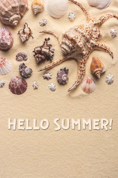 Hello summer inscription on light sand with seashells — Stock Photo