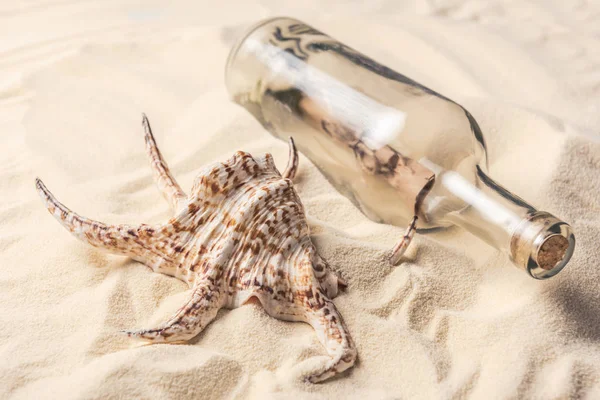 Seashell and bottle with letter on sandy beach — Stock Photo