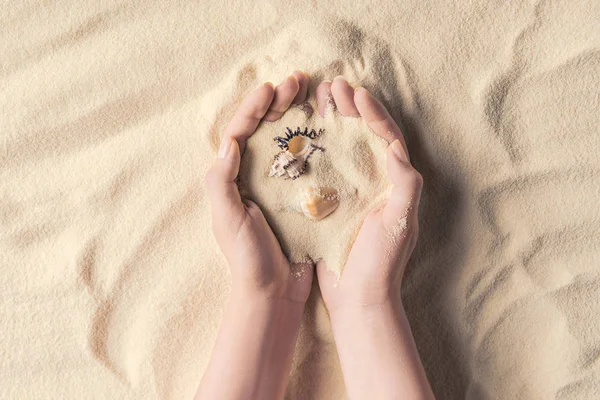 Mãos femininas com conchas marinhas na areia leve — Fotografia de Stock