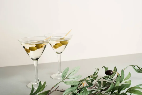 Cocktails in martini glasses with olive branch on grey surface, isolated on white — Stock Photo