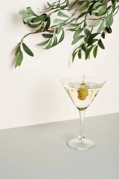 Glass of martini with olive branch on white background — Stock Photo