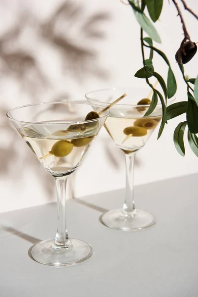 Glasses of martini and olive branch on white background — Stock Photo