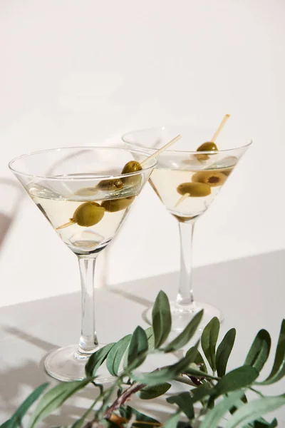 Glasses with martini and olive branch on grey surface on white background — Stock Photo