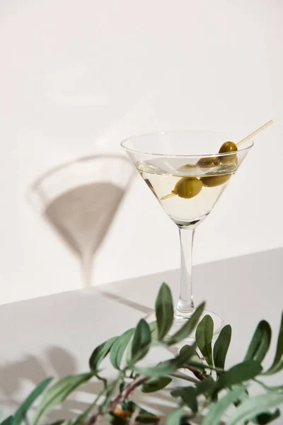 Martini with shadow on white background and olive branch on grey surface — Stock Photo