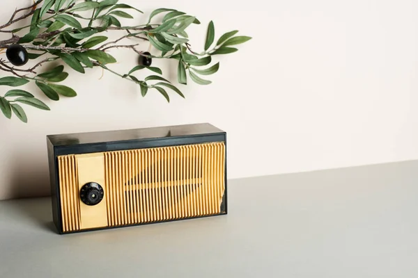 Винтажное радио с оливковой ветвью на белом фоне — стоковое фото