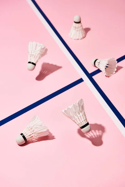 Badminton shuttlecocks on pink surface with blue lines — Stock Photo