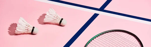 Schläger für Badminton und Federhähne auf rosa Hintergrund mit blauen Linien, Panoramaaufnahme — Stockfoto