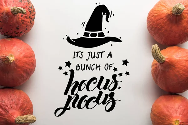 Top view of ripe pumpkins in rows on white background with hocus pocus illustration — Stock Photo