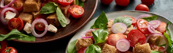 Fresh Italian vegetable salad panzanella served on plates on table, panoramic shot — Stock Photo