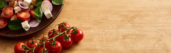 Deliziosa insalata di verdure italiana panzanella servita sul piatto sul tavolo di legno vicino ai pomodori freschi, colpo panoramico — Foto stock
