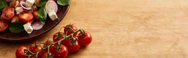 Delicious Italian vegetable salad panzanella served on plate on wooden table near fresh tomatoes, panoramic shot — Stock Photo