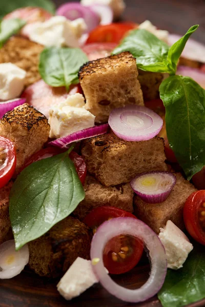Close up view of delicious Italian vegetable salad panzanella — Stock Photo