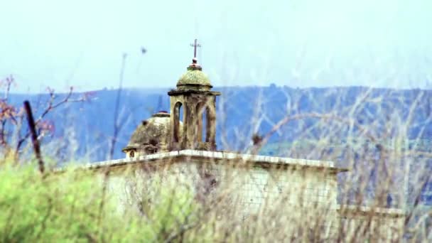 Fågel på karga kvist med ruiner i bakgrunden — Stockvideo