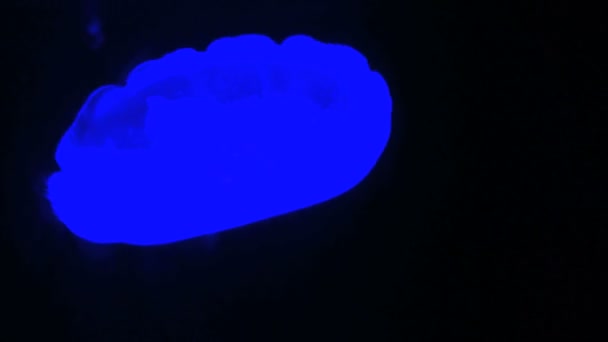 暗水中的脉动半透明水母 — 图库视频影像