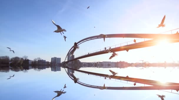 Solnedgången bridge panorama spegel vatten reflectionslow rörelse — Stockvideo