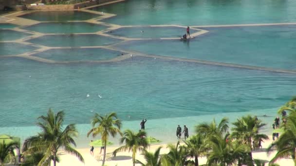 Turister gå upp stranden från dolphin pool Stockvideo