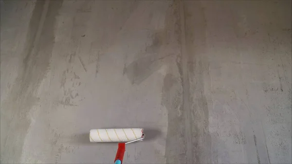 Paint roller in the bath. Painting out a bare wall with a paint roller with gray paint. Hand painting using paint roller. Painter women at work, with roller painting wall, painter house concept 4k