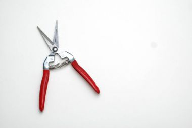 Bahçe ya da çiçekçi aracı, izole Secateurs Kopyala Yapıştır beyaz zemin üzerine