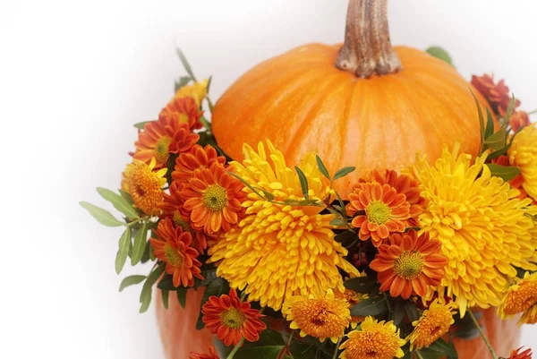 Bouquet of autumn flowers in pumpkin. Autumn or Halloween arrangement. Isolated. Crisanthemum orange flowers. — Stock Photo, Image