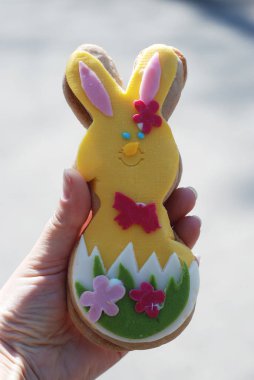 Paskalya Bunny çerezleri renkli şeker yapıştırın sır elini tutarak dekore edilmiştir.
